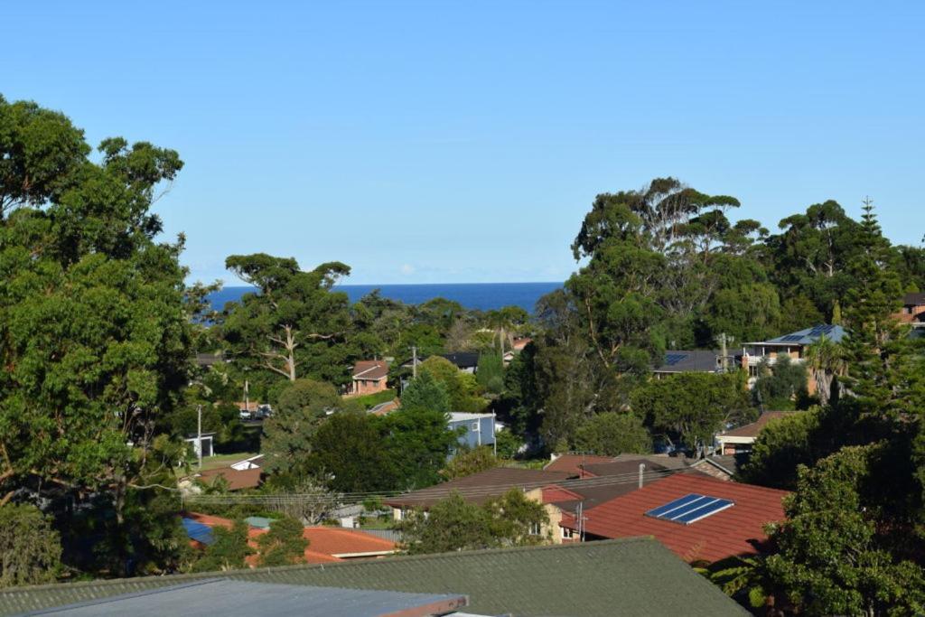 Mollymook Caravan Park Kültér fotó